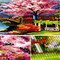 5D DIY Diamond Painting by Number Kit – Winter Snow Scene with Tree